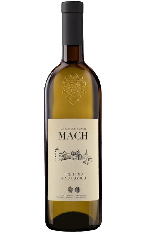 Pinot Grigio Trentino